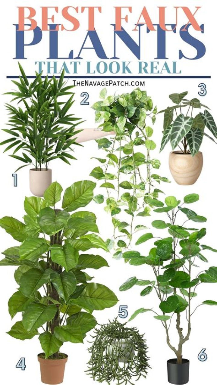 Best faux plants - How To Discuss