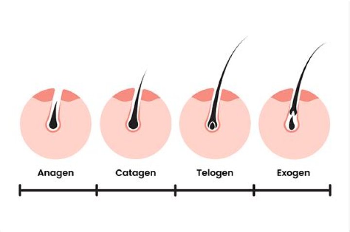 Does Waxing Reduce Hair Growth