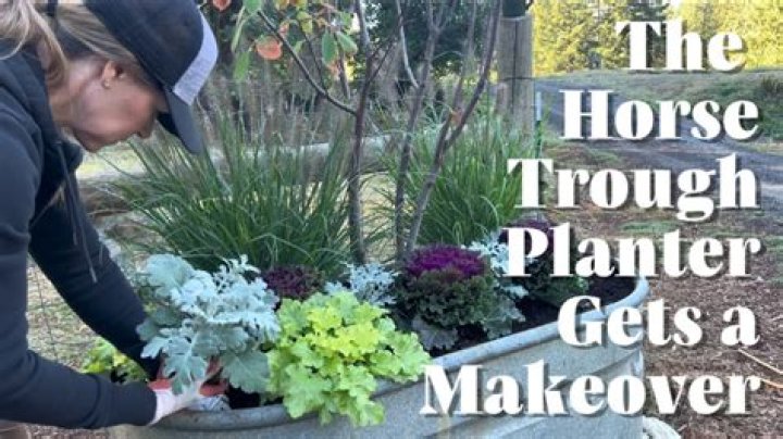 Horse trough planter - How To Discuss