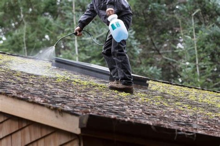 How to remove moss from roof