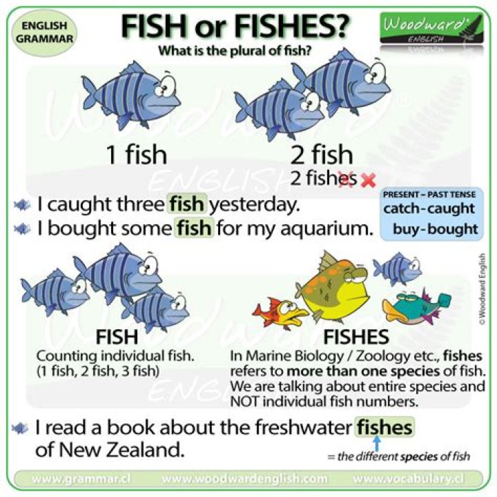 Is Fishes A Word - How To Discuss