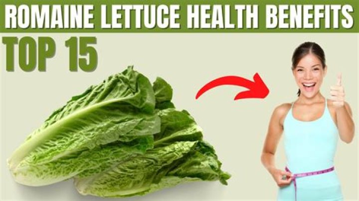 Is romaine lettuce healthy - How To Discuss