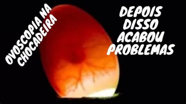 Ovo Galado - How To Discuss