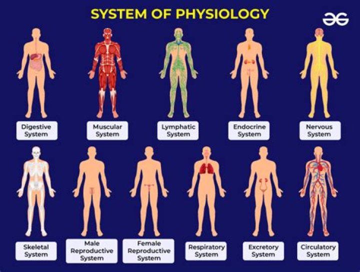 The Central Principle Of Physiology Is