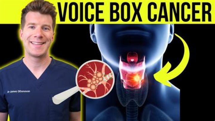 Voice box device - How To Discuss